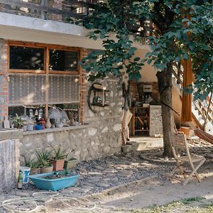 The House In The Village